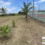 Une journée bricolage et jardinage au Tennis club de Paita