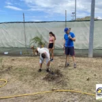 Une journée bricolage et jardinage au Tennis club de Paita